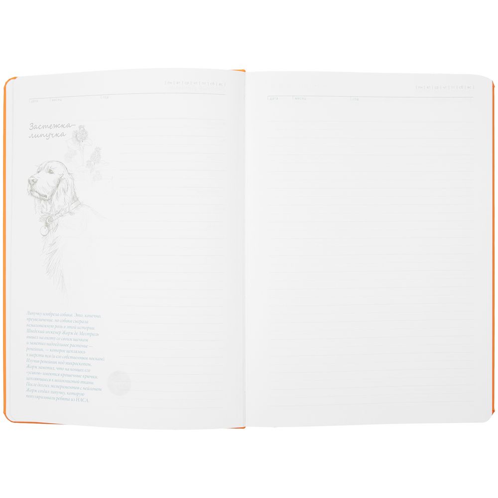 Изображение №7 | Ежедневник «История изобретений», недатированный, оранжевый