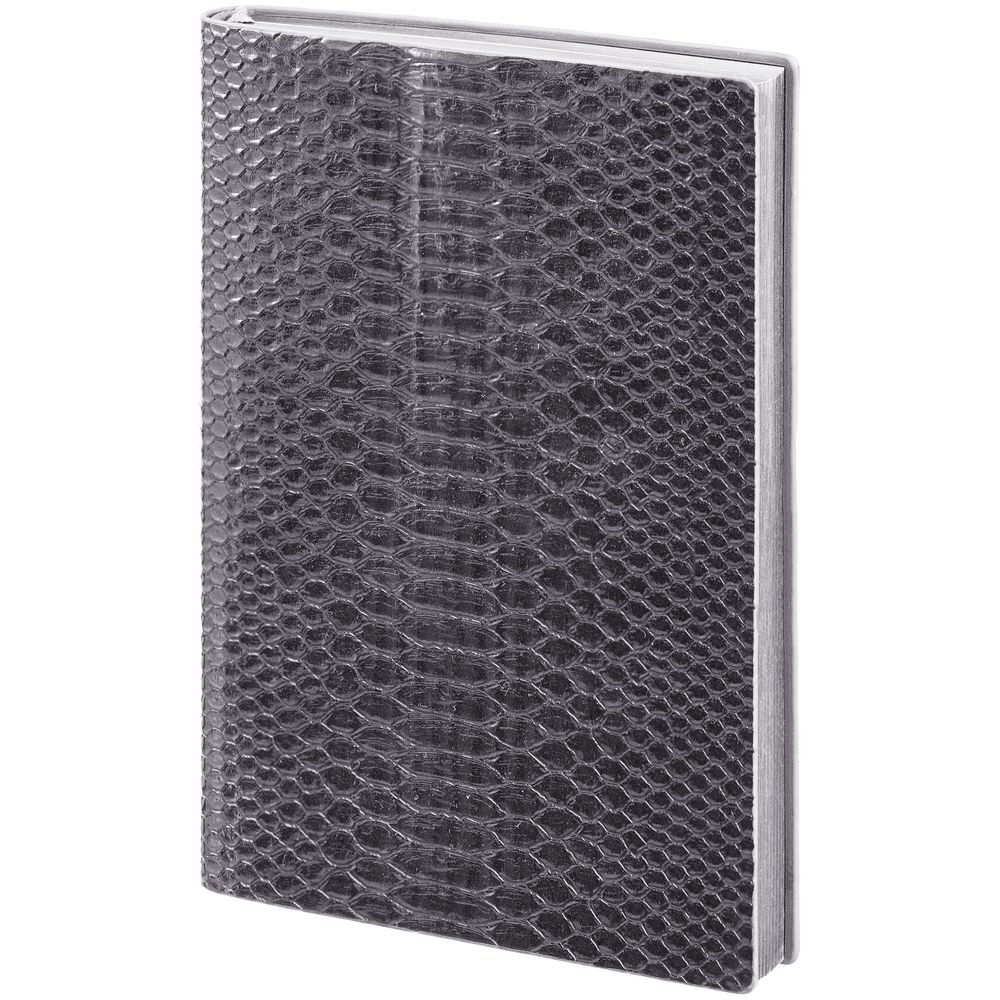 Изображение №3 | Ежедневник Anaconda, недатированный, серебристый