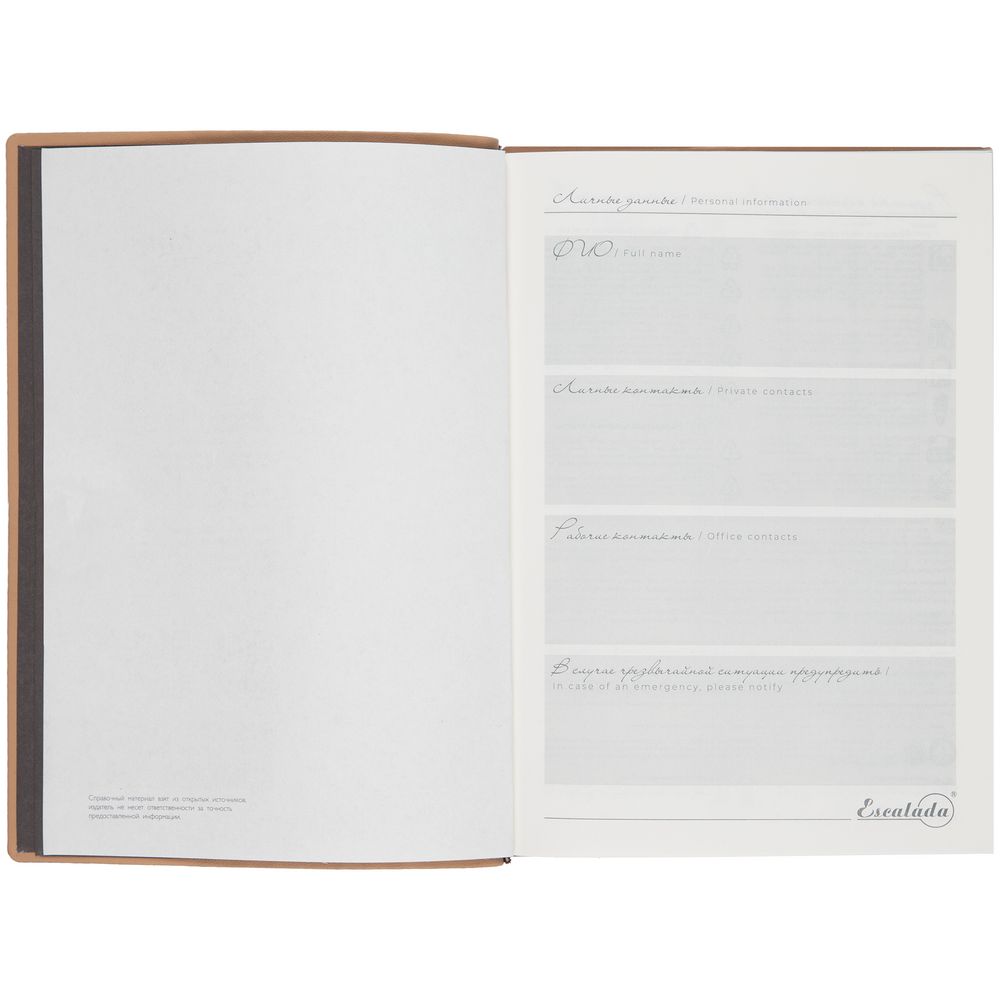 Изображение №8 | Ежедневник Anaconda, недатированный, серебристый