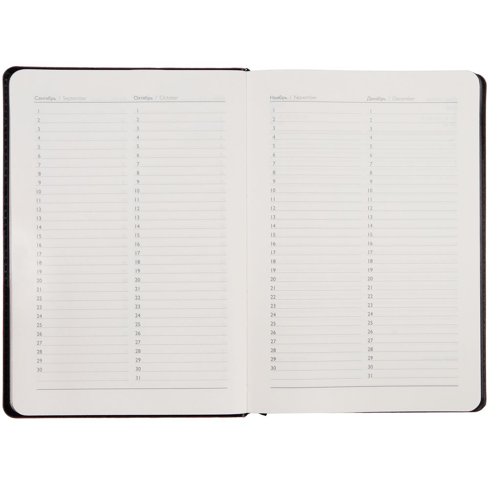 Изображение №6 | Ежедневник Alanis, недатированный, черный с синим