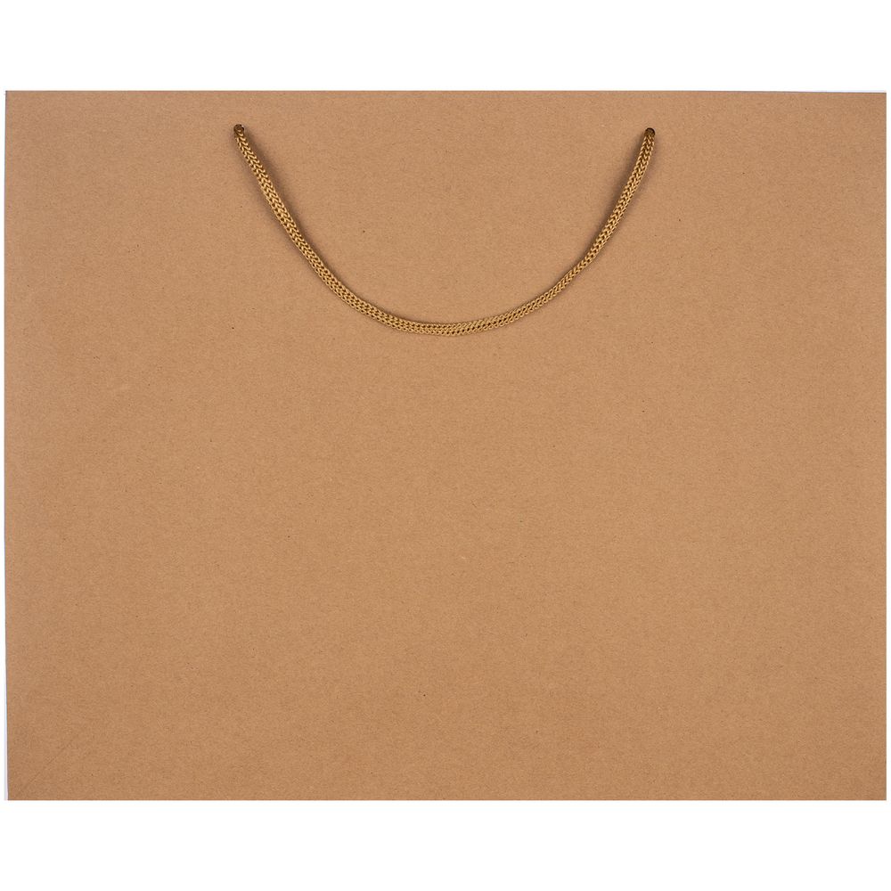 Изображение №2 | Пакет бумажный Plat L, крафт