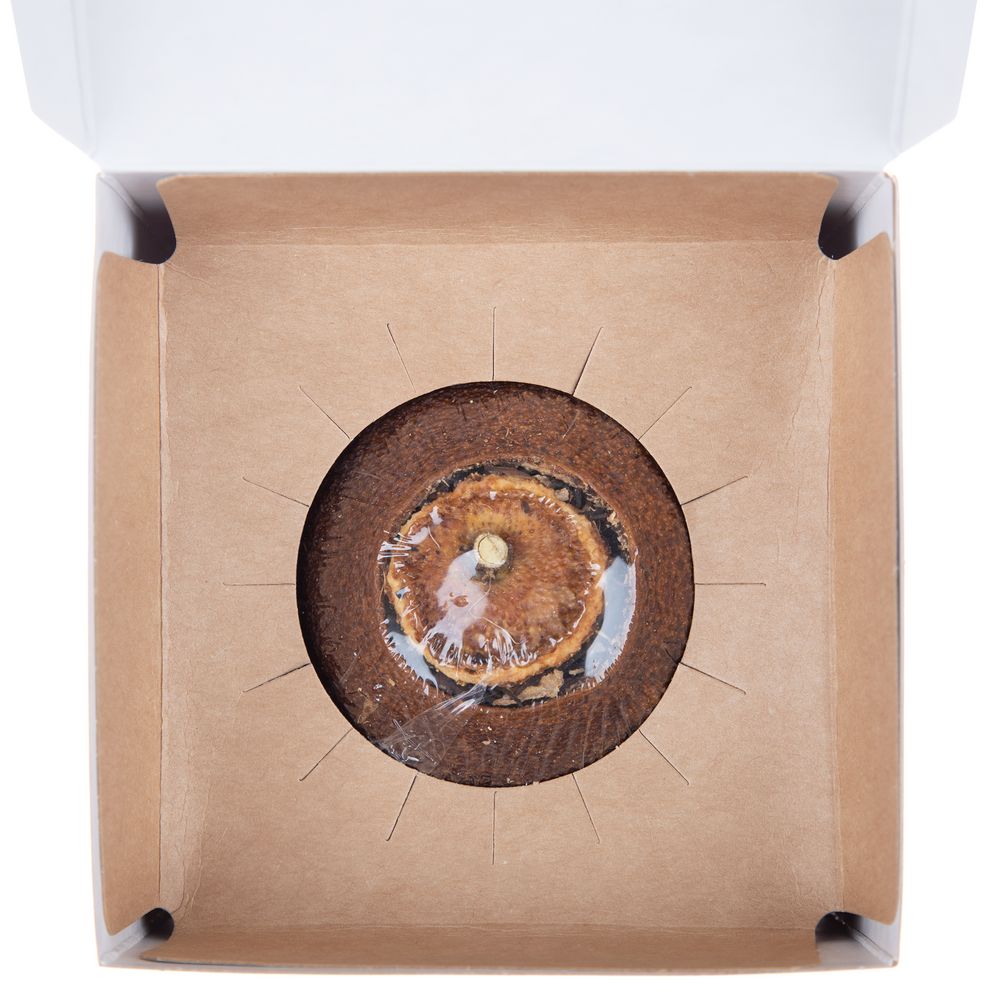 Изображение №3 | Черный чай Citrus в апельсине с маслом лайма