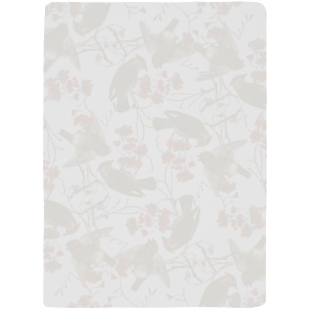 Изображение №2 | Флисовый плед Winter Bird