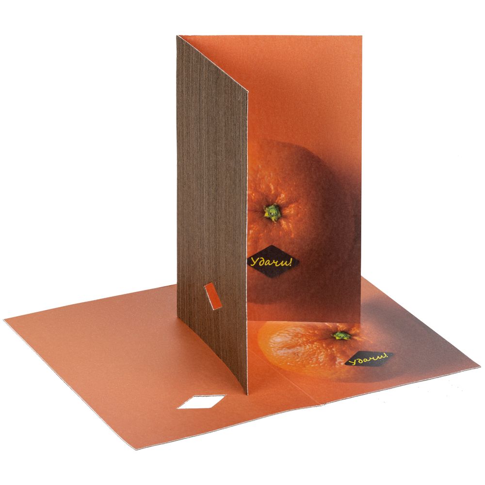 Изображение №6 | Набор Tangerine Dream, оранжевый