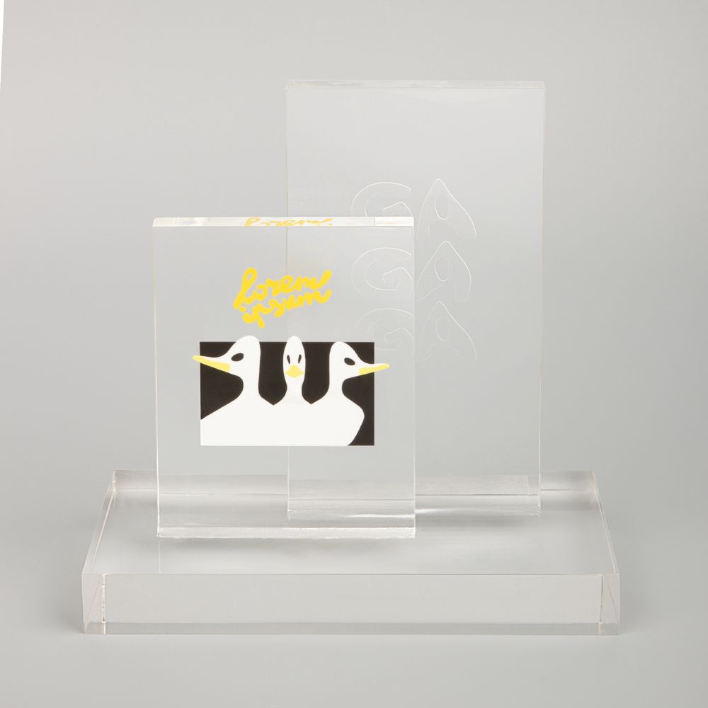 Изображение №5 | Стела Doublet