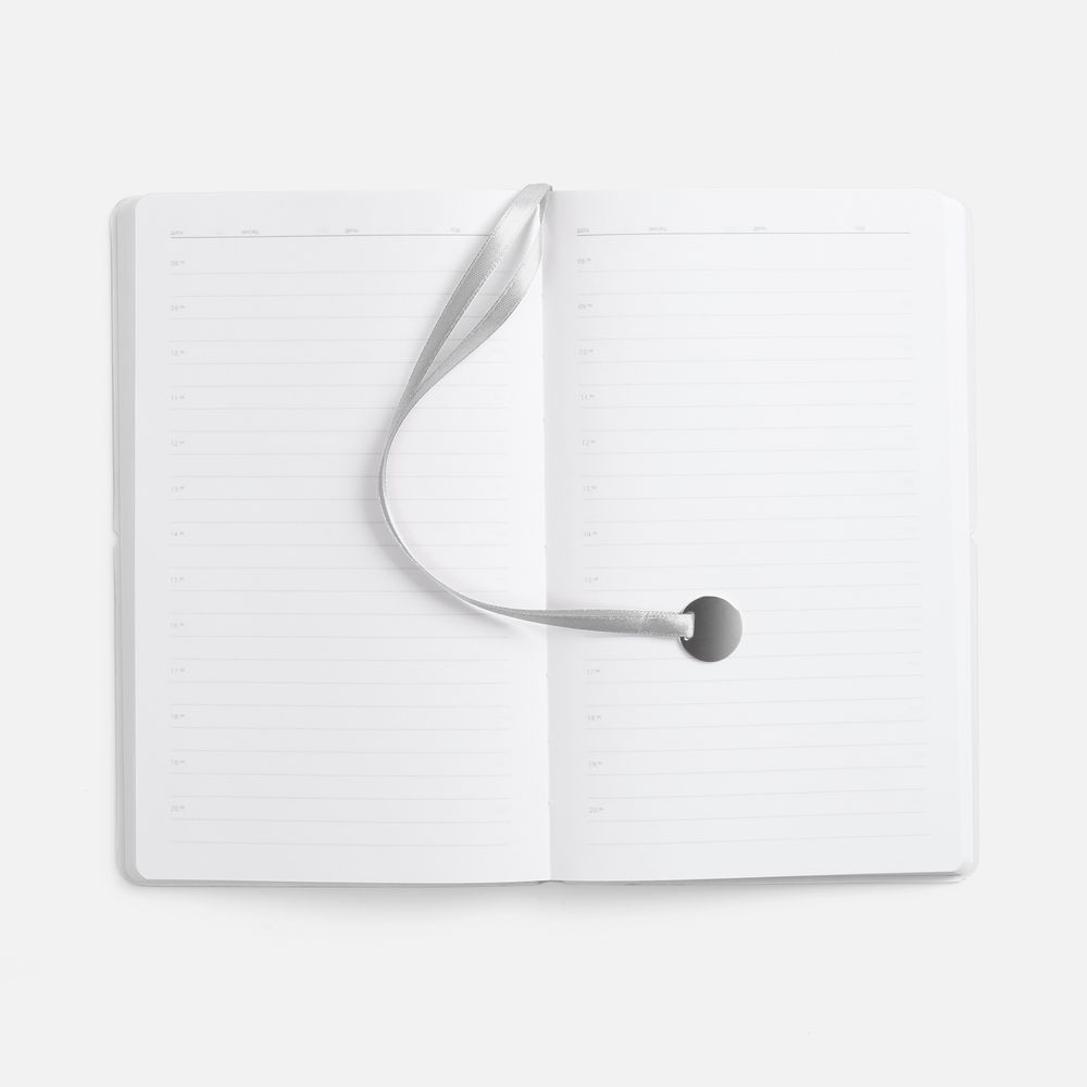 Изображение №9 | Ежедневник Waltz, недатированный, серебристый