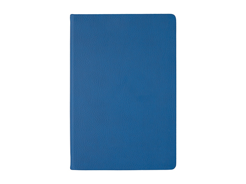 Изображение №4 | Ежедневник недатированный А5 «Megapolis Nappa» (синий)