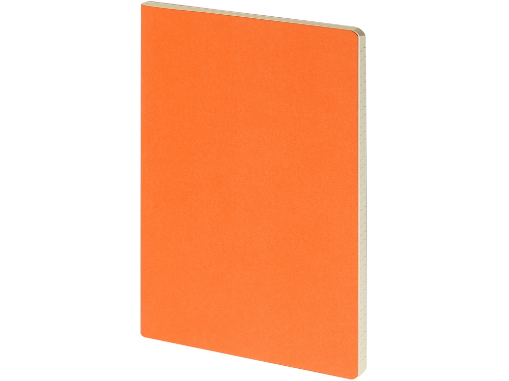 Изображение №1 | Бизнес-тетрадь А4 «Pragmatic» (оранжевый)