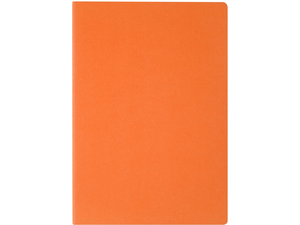 Изображение №2 | Бизнес-тетрадь А4 «Pragmatic» (оранжевый)