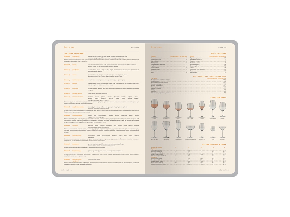 Изображение №9 | Ежедневник А5 датированный «Boston» на 2026 год (красный/серый)