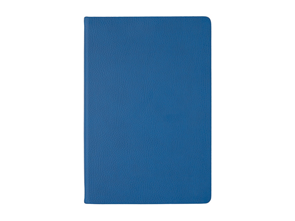 Изображение №4 | Ежедневник А5 датированный «Megapolis Nappa» на 2026 (синий)