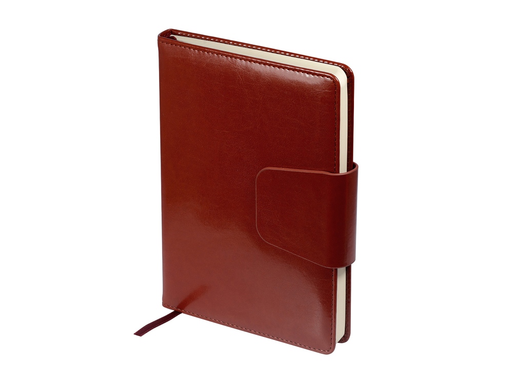 Изображение №1 | Ежедневник недатированный А5 «Prestige» (коричневый)