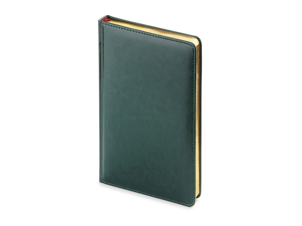 Изображение №1 | Ежедневник недатированный А4 «Sidney Nebraska» с золотым срезом A4 (зеленый)