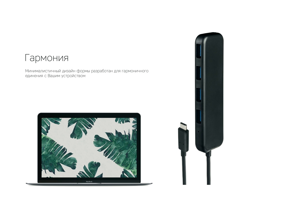 Изображение №7 | Хаб  «Type-C» (черный)