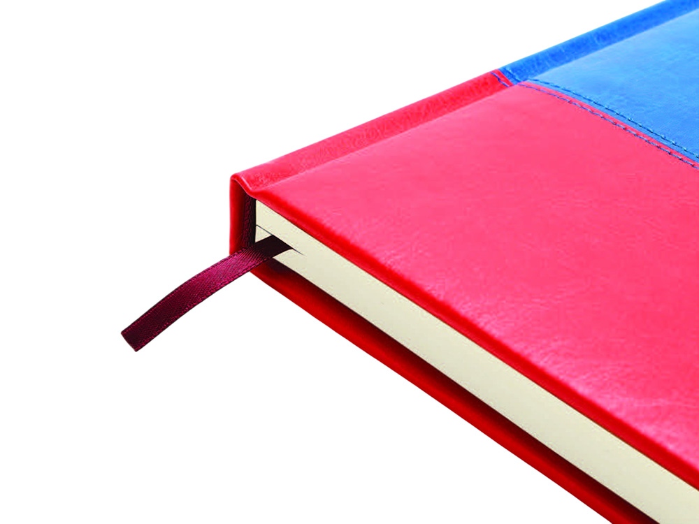 Изображение №3 | Ежедневник недатированный А5+ «Россия. Флаг» (мультиколор)