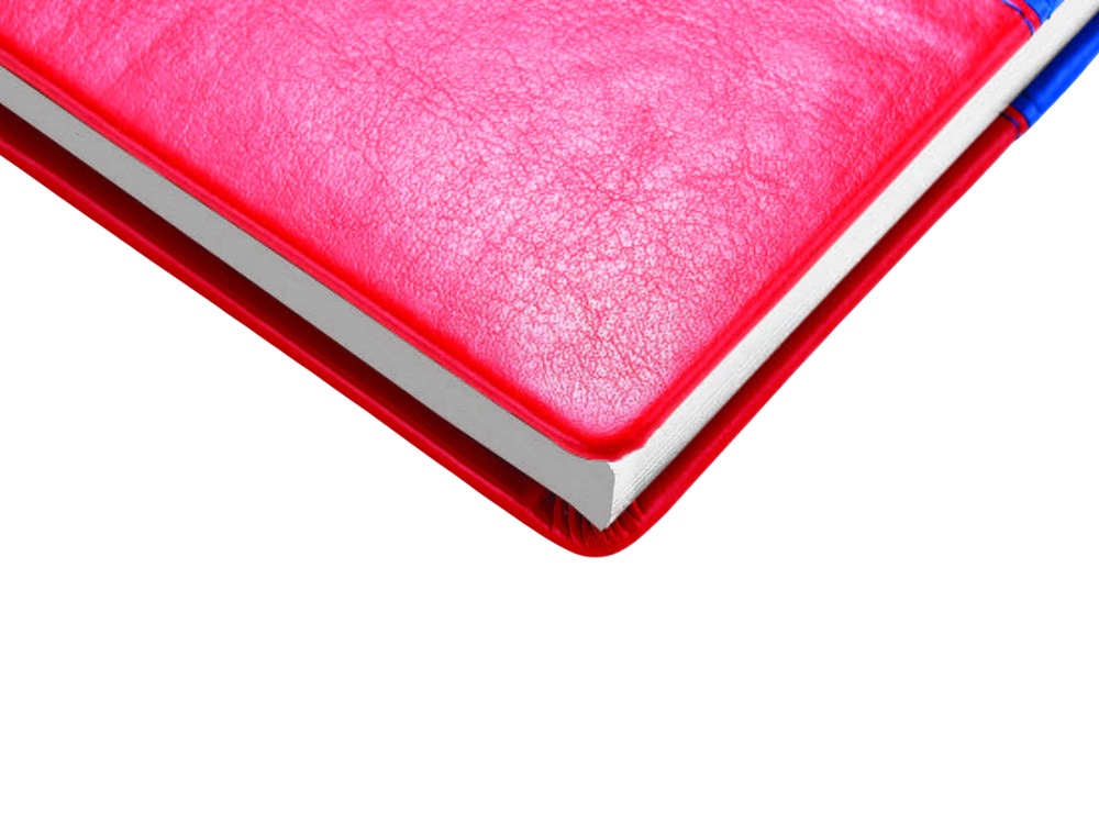 Изображение №4 | Ежедневник недатированный А5+ «Россия. Флаг» (мультиколор)