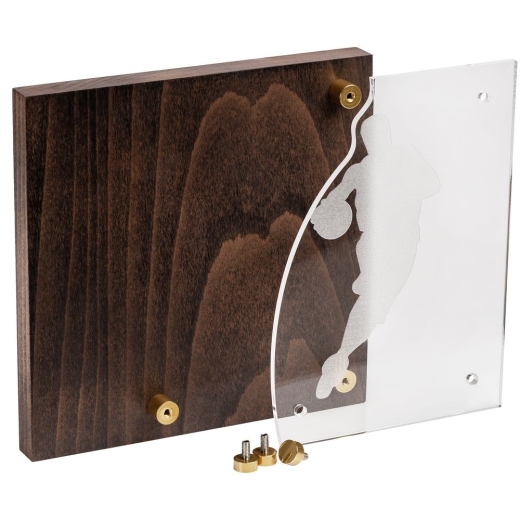 Изображение №2 | Награда Celebration, баскетбол