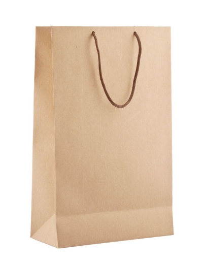 Изображение №1 | Пакет бумажный «Крафт», M, неокрашенный