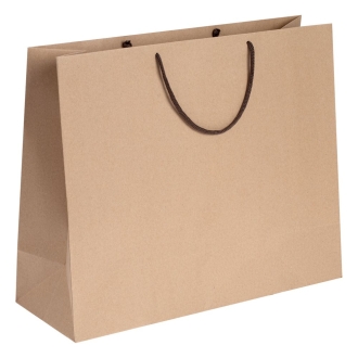 Изображение №1 | Пакет бумажный «Крафт», L, неокрашенный