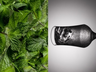 Изображение №2 | Бокал для пива Tulip