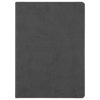 Изображение №2 | Ежедневник Basis, датированный, темно-серый