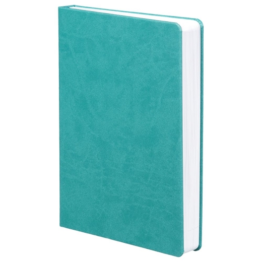 Изображение №1 | Ежедневник Basis, датированный, бирюзовый