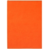 Изображение №1 | Ежедневник Flat Light, недатированный, оранжевый