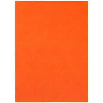 Изображение №1 | Ежедневник Flat Light, недатированный, оранжевый