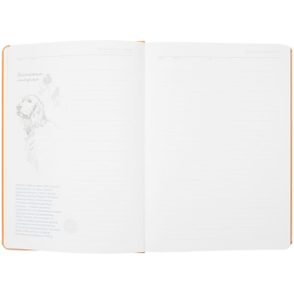 Изображение №7 | Ежедневник «История изобретений», недатированный, оранжевый