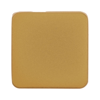 Изображение №1 | Квадратный шильдик на резинку Direct, матовый золотистый