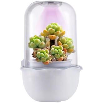 Изображение №1 | Умная теплица growUp, белая