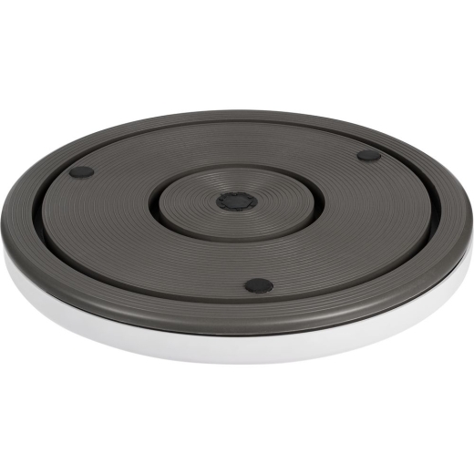 Изображение №2 | Диск здоровья вращающийся SpinTeam, белый с синим