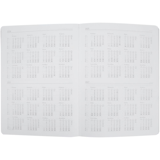 Изображение №5 | Еженедельник Lucky, недатированный, серый