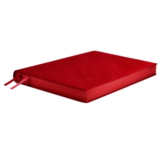 Изображение №3 | Ежедневник Merida, датированный, красный