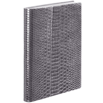 Изображение №1 | Ежедневник Anaconda, недатированный, серебристый