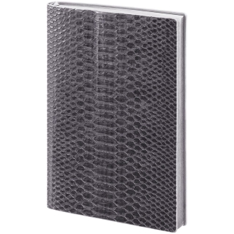 Изображение №3 | Ежедневник Anaconda, недатированный, серебристый