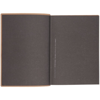 Изображение №6 | Ежедневник Anaconda, недатированный, серебристый