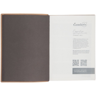 Изображение №7 | Ежедневник Anaconda, недатированный, серебристый