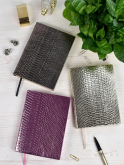 Изображение №12 | Ежедневник Anaconda, недатированный, серебристый