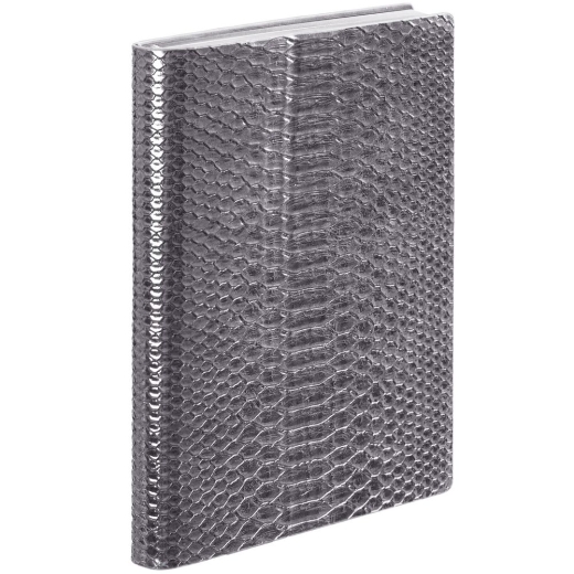 Изображение №1 | Ежедневник Anaconda, недатированный, серебристый