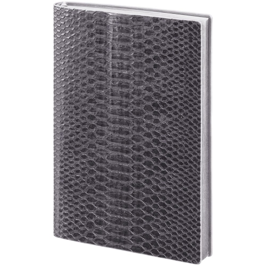 Изображение №3 | Ежедневник Anaconda, недатированный, серебристый