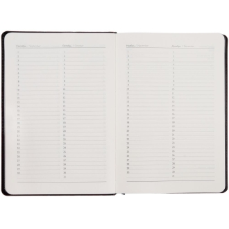 Изображение №6 | Ежедневник Alanis, недатированный, черный с синим