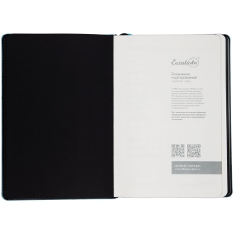 Изображение №6 | Ежедневник Alanis, недатированный, черный с голубым