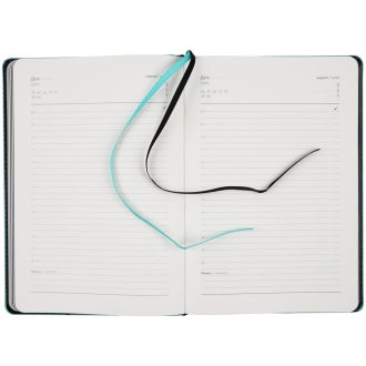 Изображение №10 | Ежедневник Alanis, недатированный, черный с голубым