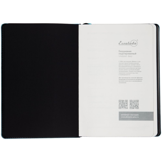 Изображение №6 | Ежедневник Alanis, недатированный, черный с голубым