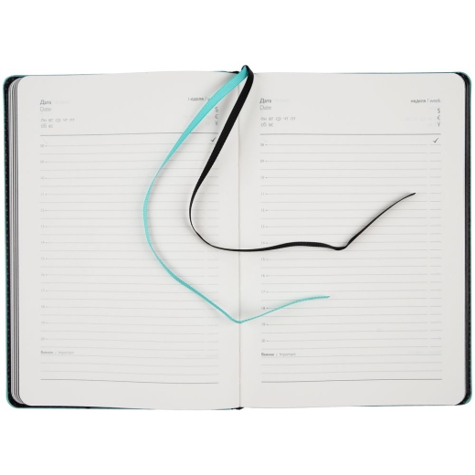 Изображение №10 | Ежедневник Alanis, недатированный, черный с голубым