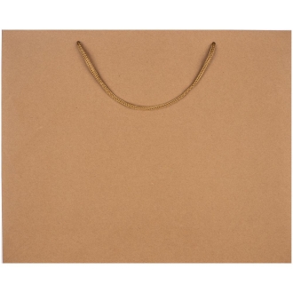 Изображение №2 | Пакет бумажный Plat L, крафт