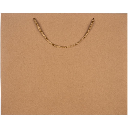 Изображение №2 | Пакет бумажный Plat L, крафт