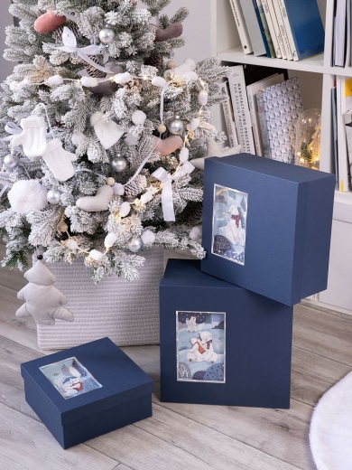 Изображение №4 | Коробка The Blue Bear, S