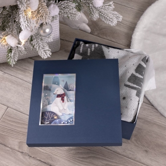 Изображение №1 | Коробка The Blue Bear, M